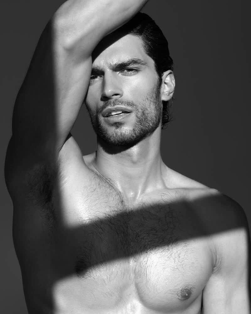 ALEKSA GAVRILOVIC