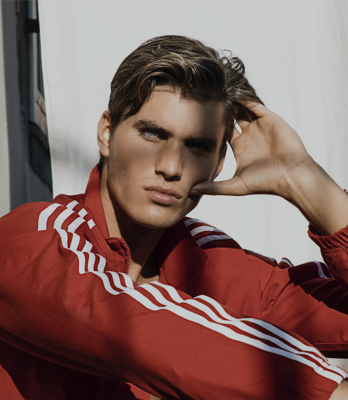 DAN ZSOLT